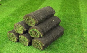 Rotolo prato naturale
