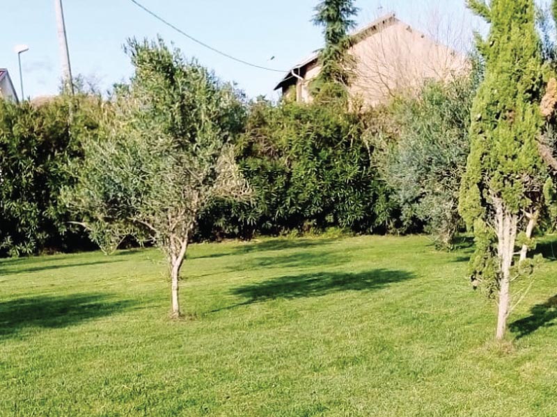 Manutenzione giardino