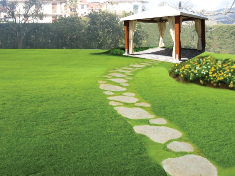 Progettazione giardini e spazi esterni - Cilento
