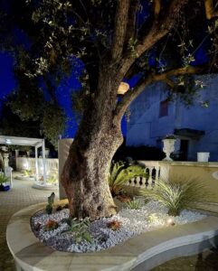 aiuole giardini ville cilento