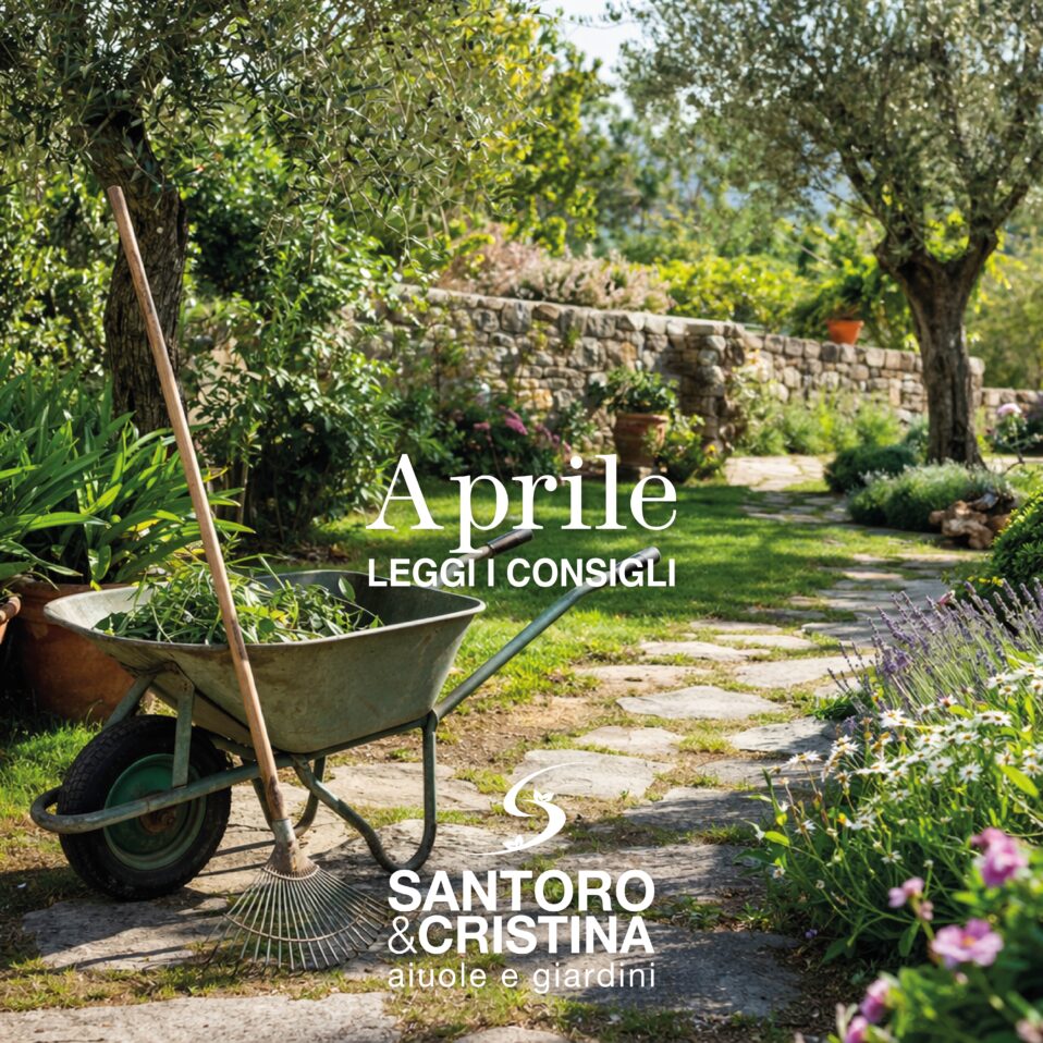 Consigli di Aprile per il mio giardino