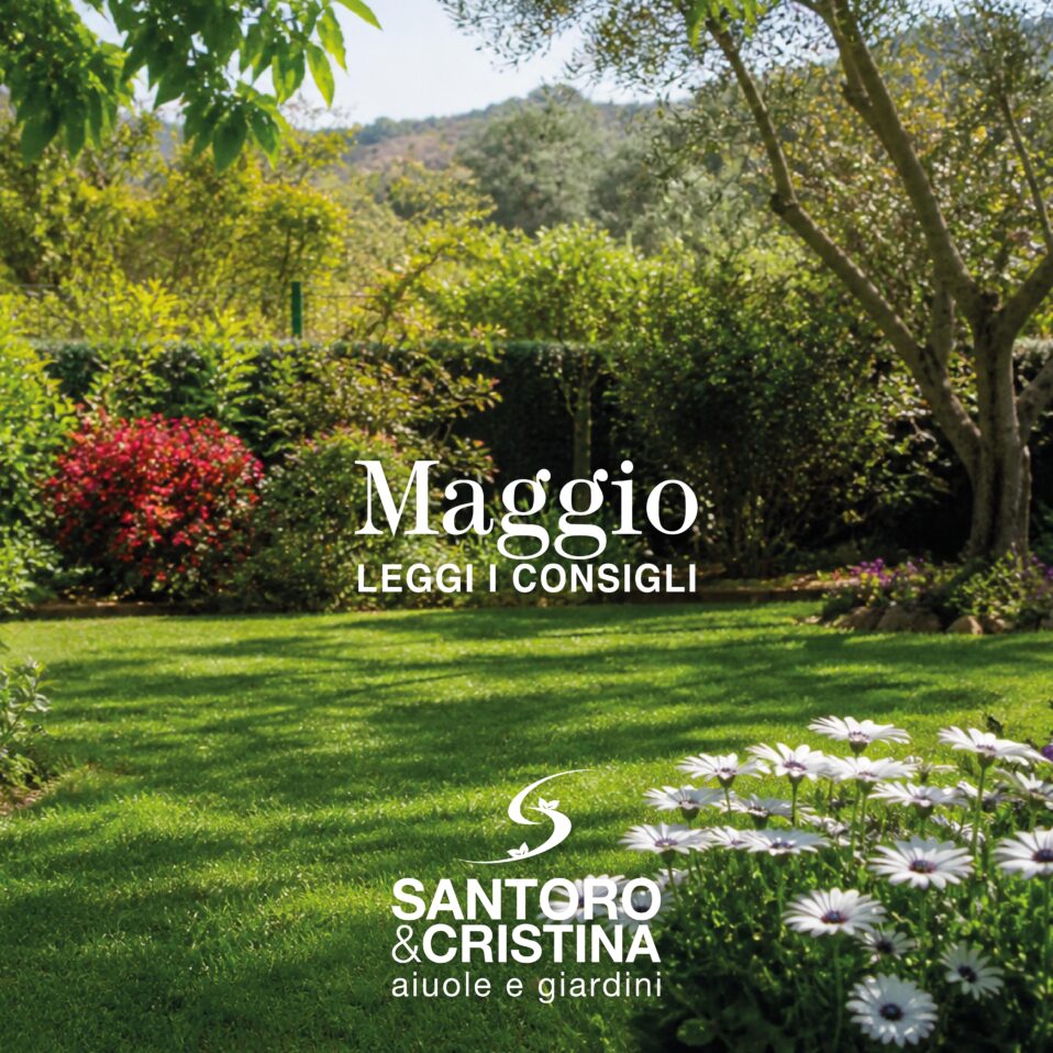 Lavori di giardinaggio a maggio nel Cilento